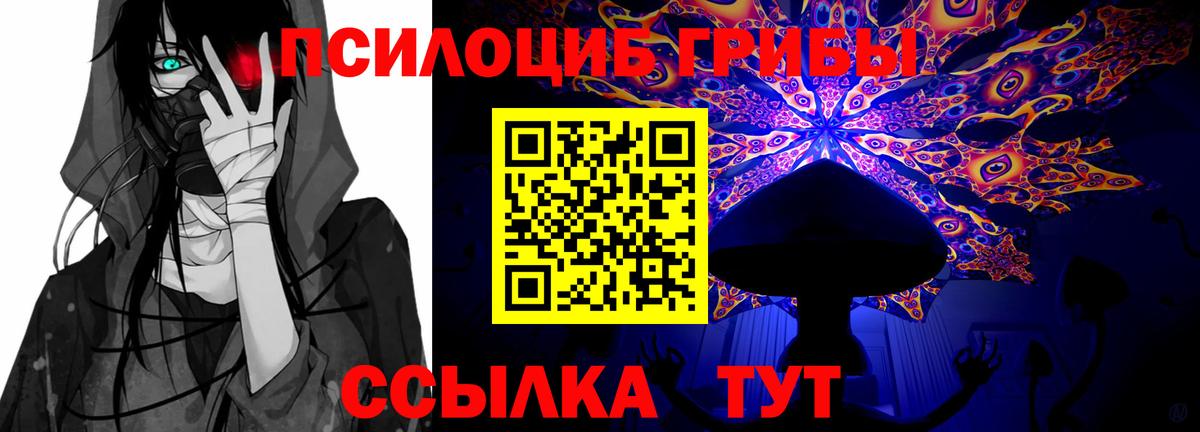 Псилоцибиновые грибы Cubensis  Вход с VPN  дарнет шоп  Орёл 